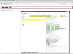 An example of the Inspector at work