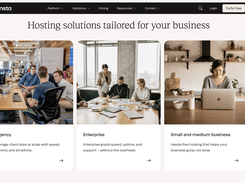Kinsta tailored for businesses
