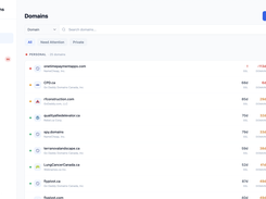 Centralized Domain Portfolio Visibility