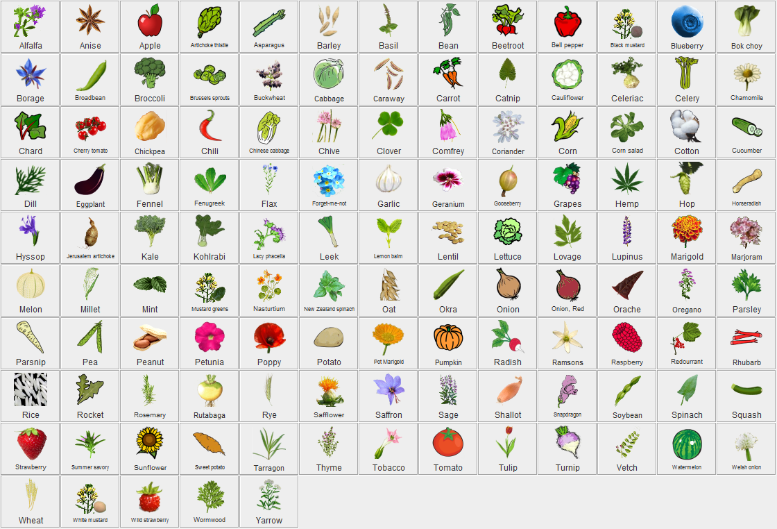 Kitchen Garden Aid Download Sourceforge Net