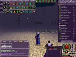 The spell window open with spells expanded.