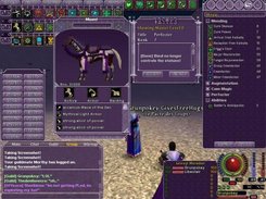 Mount and Master Level windows