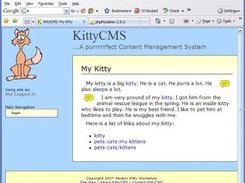 Example of page notes on an article.