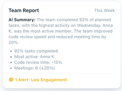 Team Report