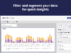 Filter and segment your data for quick insights.