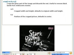 Video filters with preview