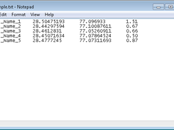 Input format