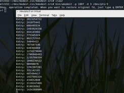 Connecting descriptor 3 on console /dev/pts/3 for pid 1807