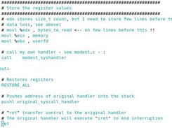 Assembly code showing how to intercept sys_write() syscall