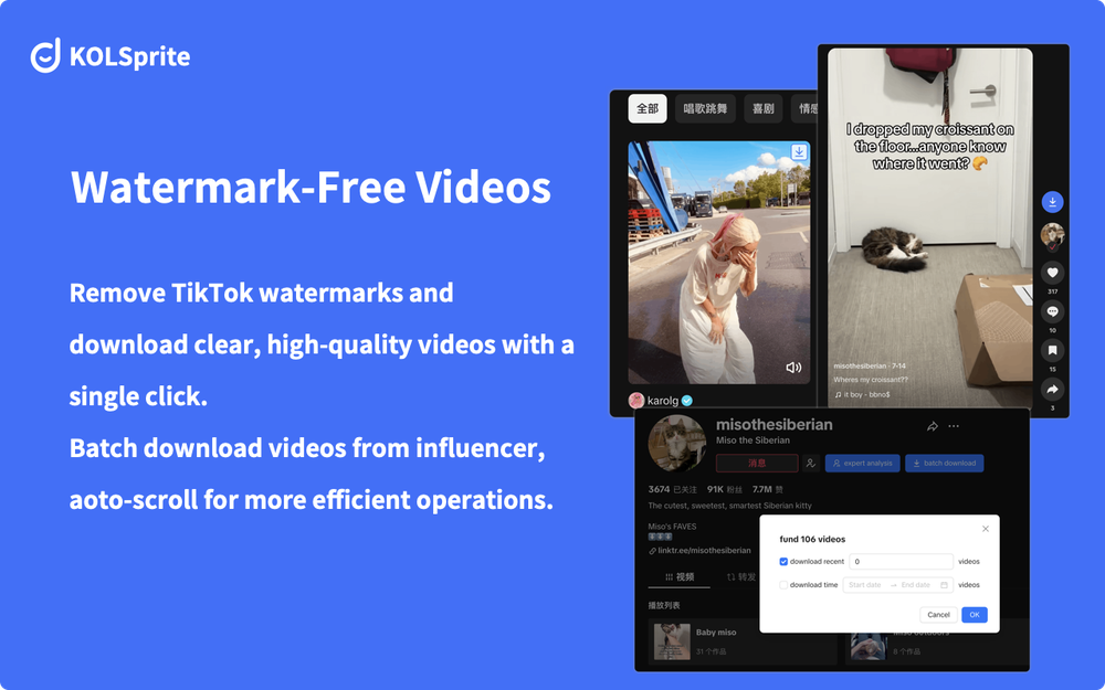 Watermark-Free Videos