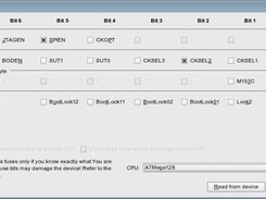 The flags and fuse bits configuration window.