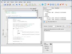 The main widget showing the project manager&serial terminal.