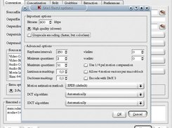 Konverter (version 0.92-beta1) DivX options