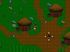 Encounter different races and peoples in your adventures.