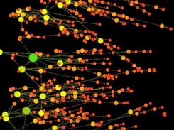 4K Generated OSN Simulation Detail