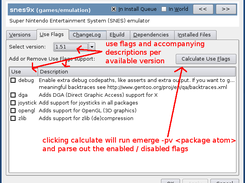 package inspector use flags tab