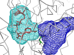 KVFinder segmentation sample
