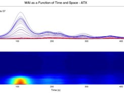 Activity as a Function of Time and Space