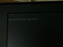 Early kernel screenshot.