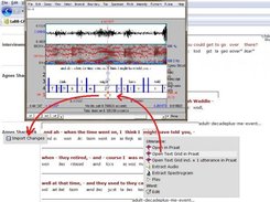 6 - Manual annotation