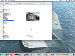 Chatosx