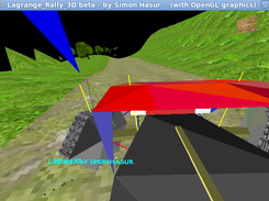 internal view, good wheel dynamics, hard rally