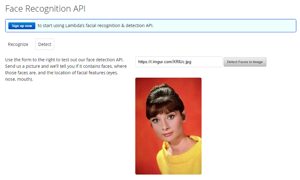 Lambda Face Recognition API Screenshot 1