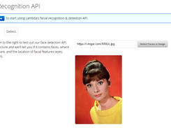 Lambda Face Recognition API Screenshot 1