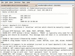 Nikto scan of the target