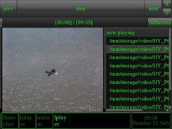 lvideo (playlist view)