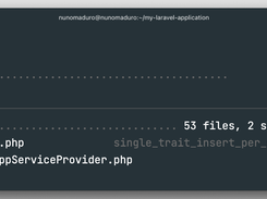 Laravel Pint Screenshot 1