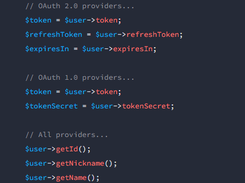 Laravel Socialite Screenshot 2