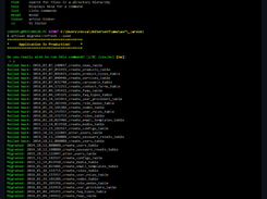 Laravel Terminal Screenshot 2