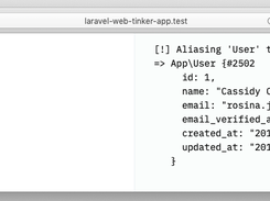 Laravel Web Tinker Screenshot 1