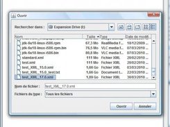 Loading a file using the default java file selector.