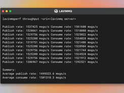 LavinMQ Screenshot 1