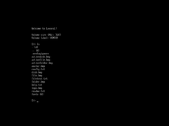 Console