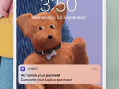 Laybuy Screenshot 2