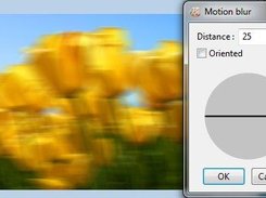 Motion blur filter