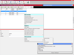 Opciones del programa