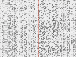 Before LD.impute imputation- rice chromosome 1