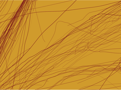 A sample output of the visualization tool