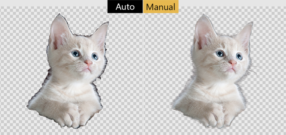 Leawo Photo BG Remover Screenshot 1