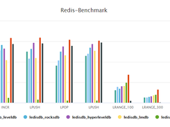 LedisDB Screenshot 1