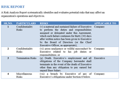 Risk Analysis Report