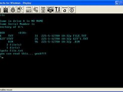 can read and run files too!!!