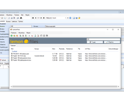Lemonsoft Screenshot 1