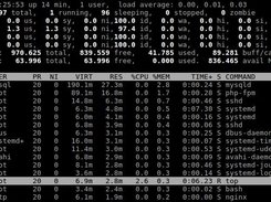 LEMP Raspberry Pi 2 - top stats
