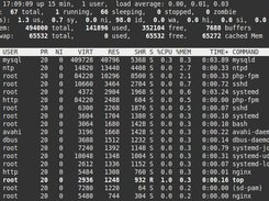 LEMP Raspberry Pi Top Stats