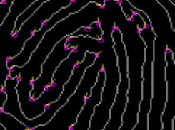 Edgeoscopy